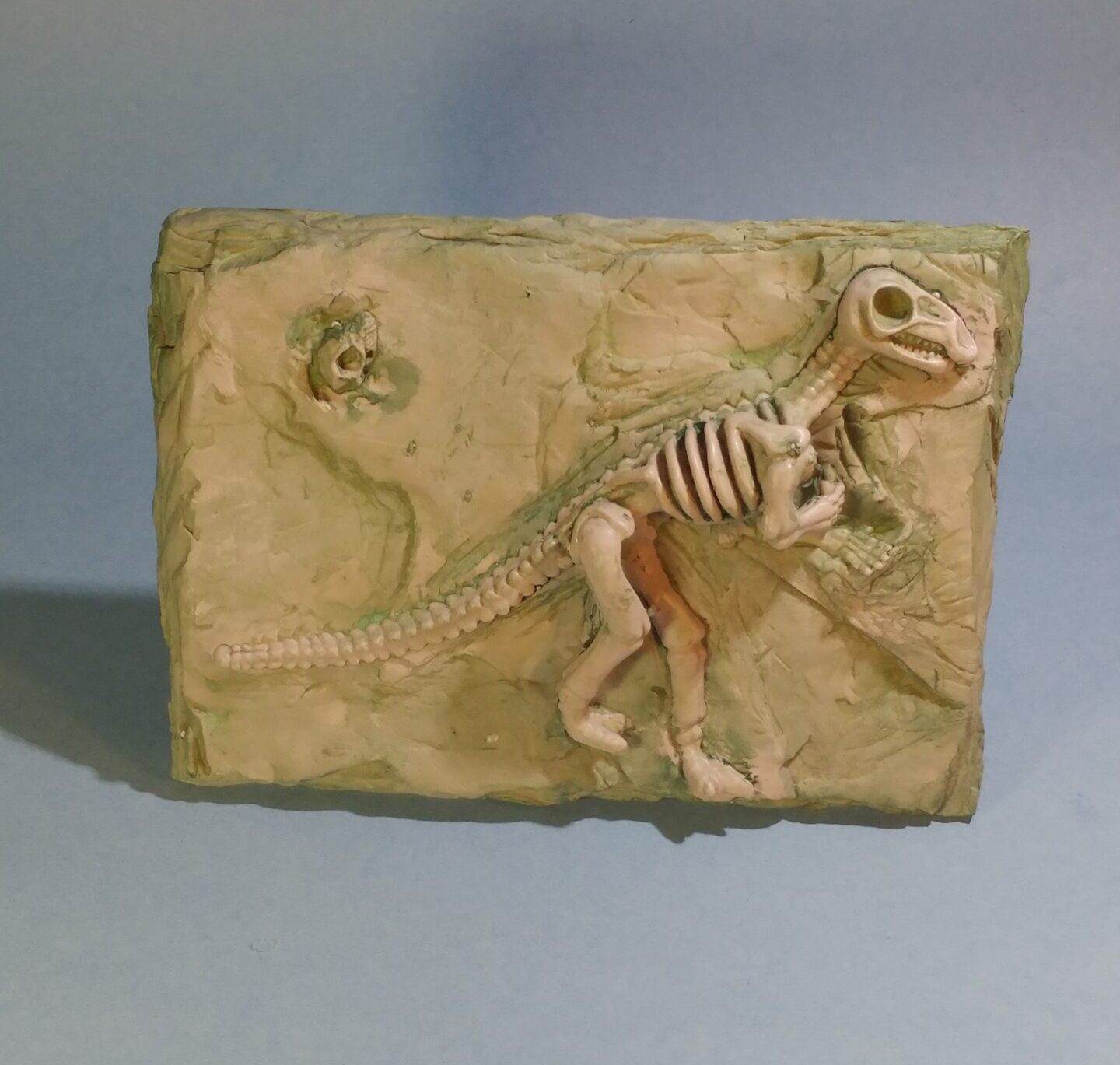 Dino Fossil Slate