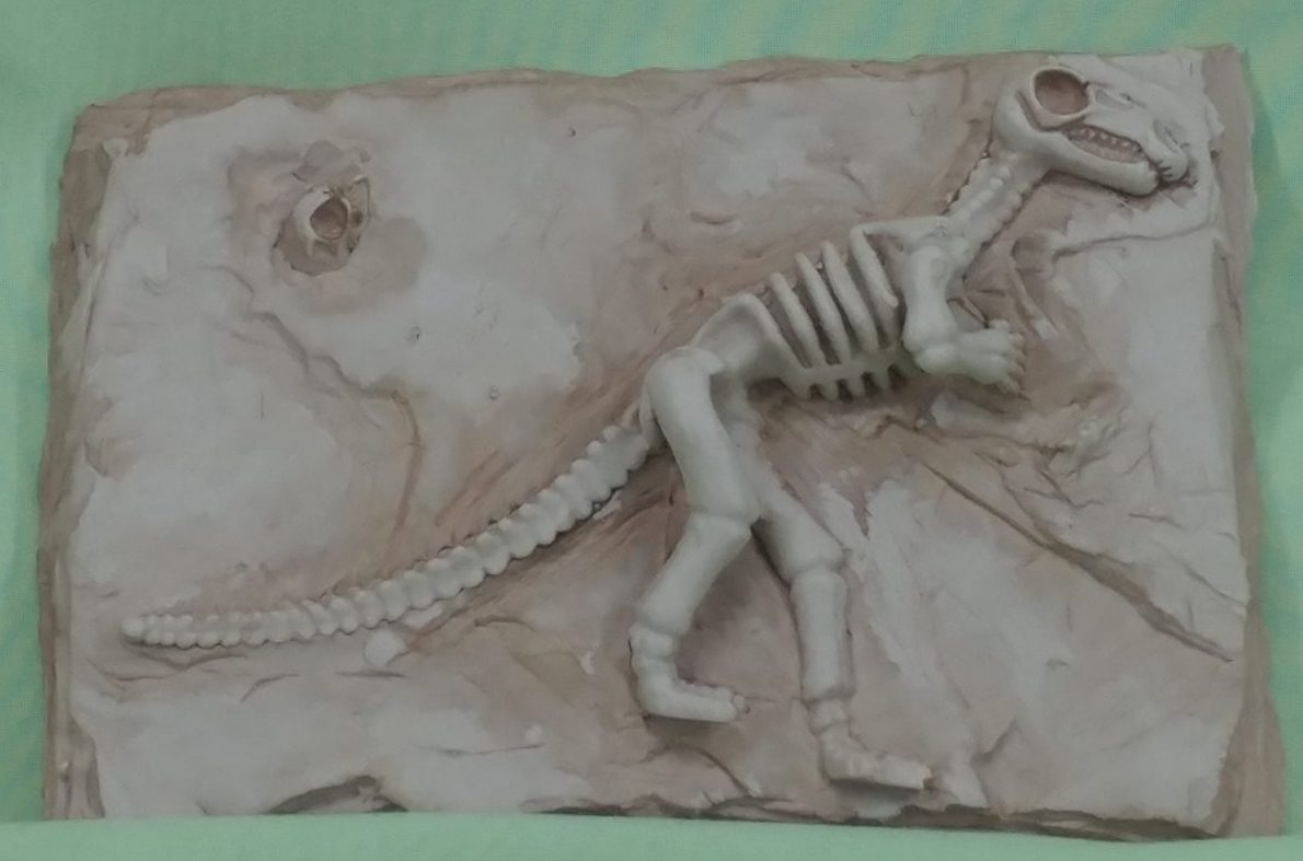 Dino Fossil Slate - Image 2