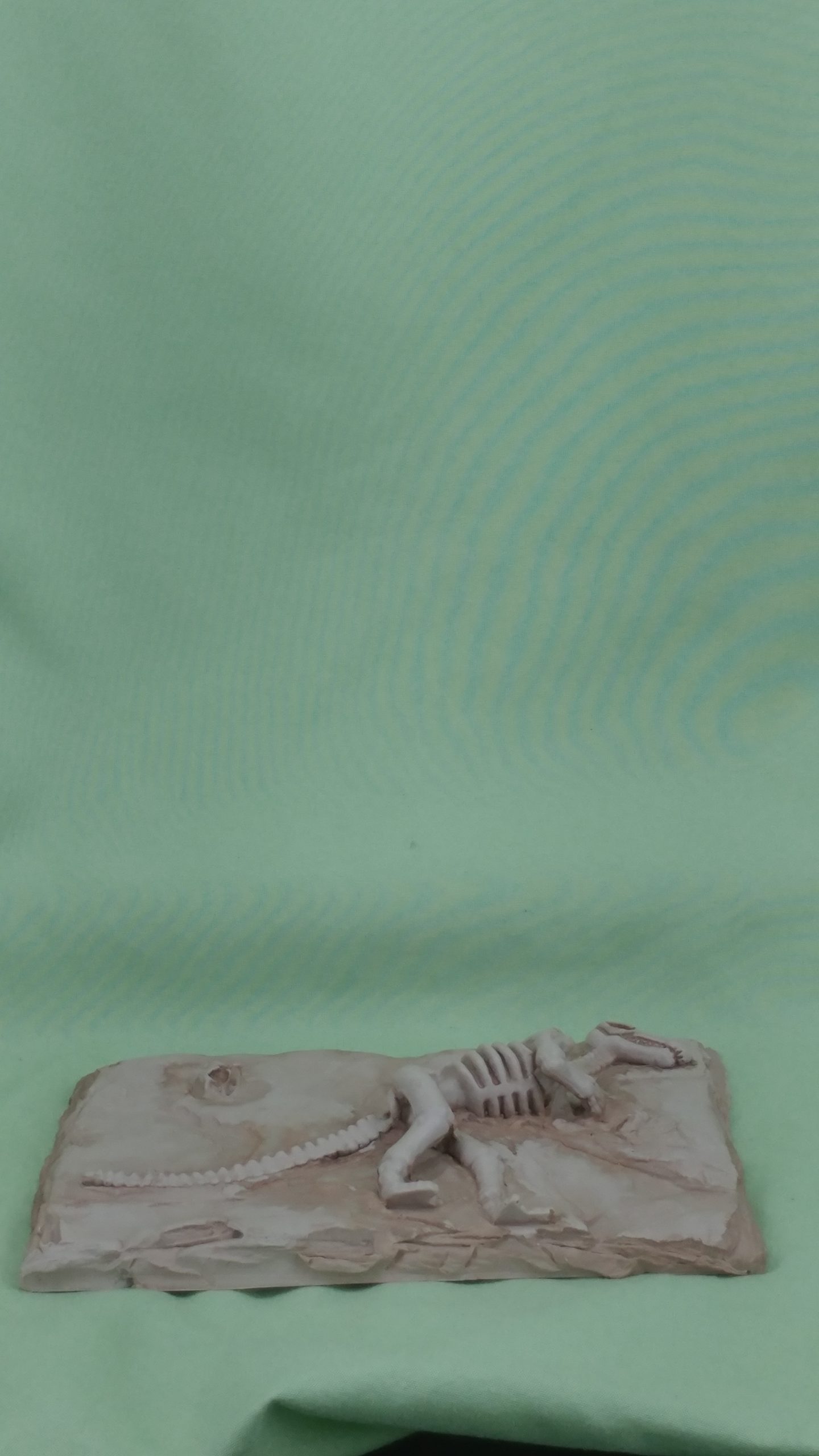 Dino Fossil Slate - Image 3