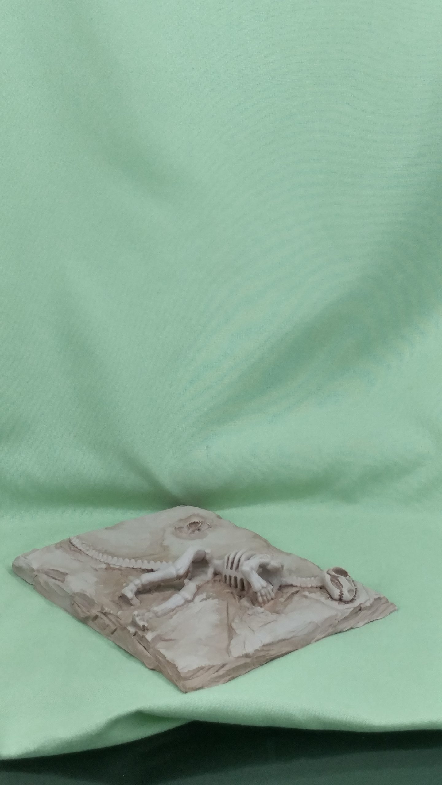 Dino Fossil Slate - Image 4