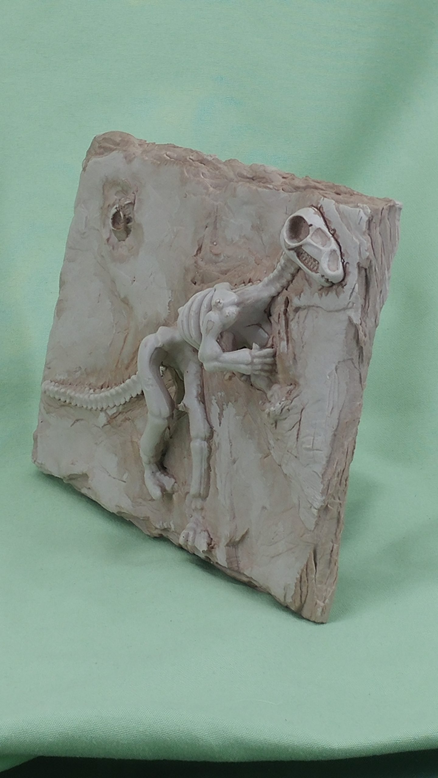 Dino Fossil Slate - Image 5
