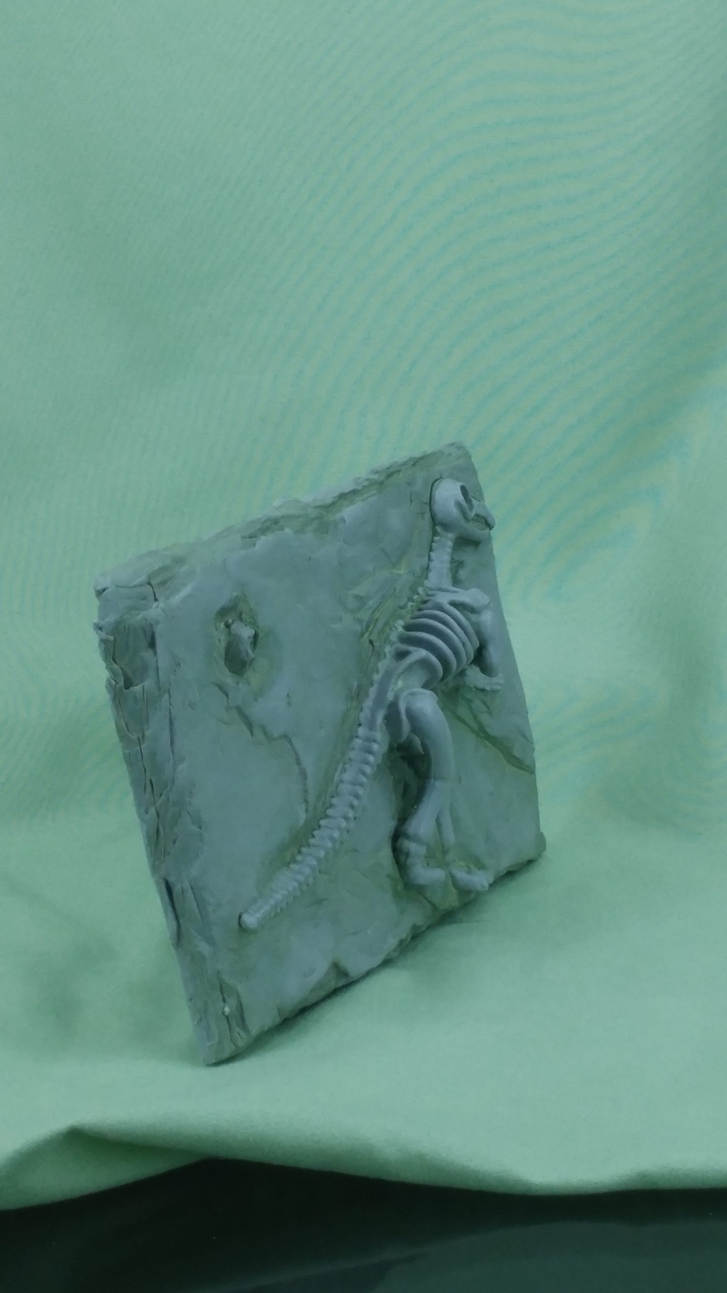 Dino Fossil Slate - Image 7