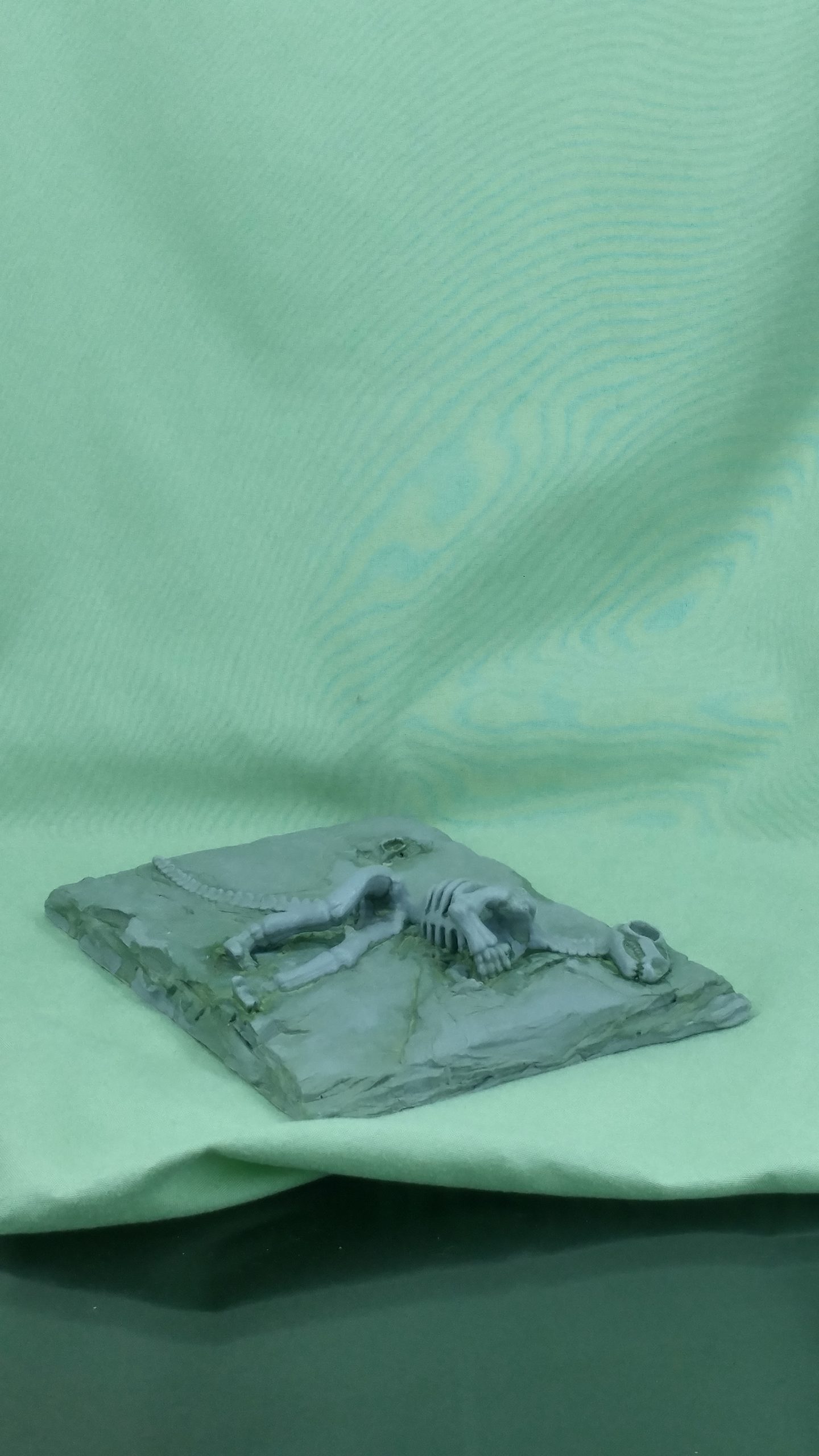 Dino Fossil Slate - Image 10