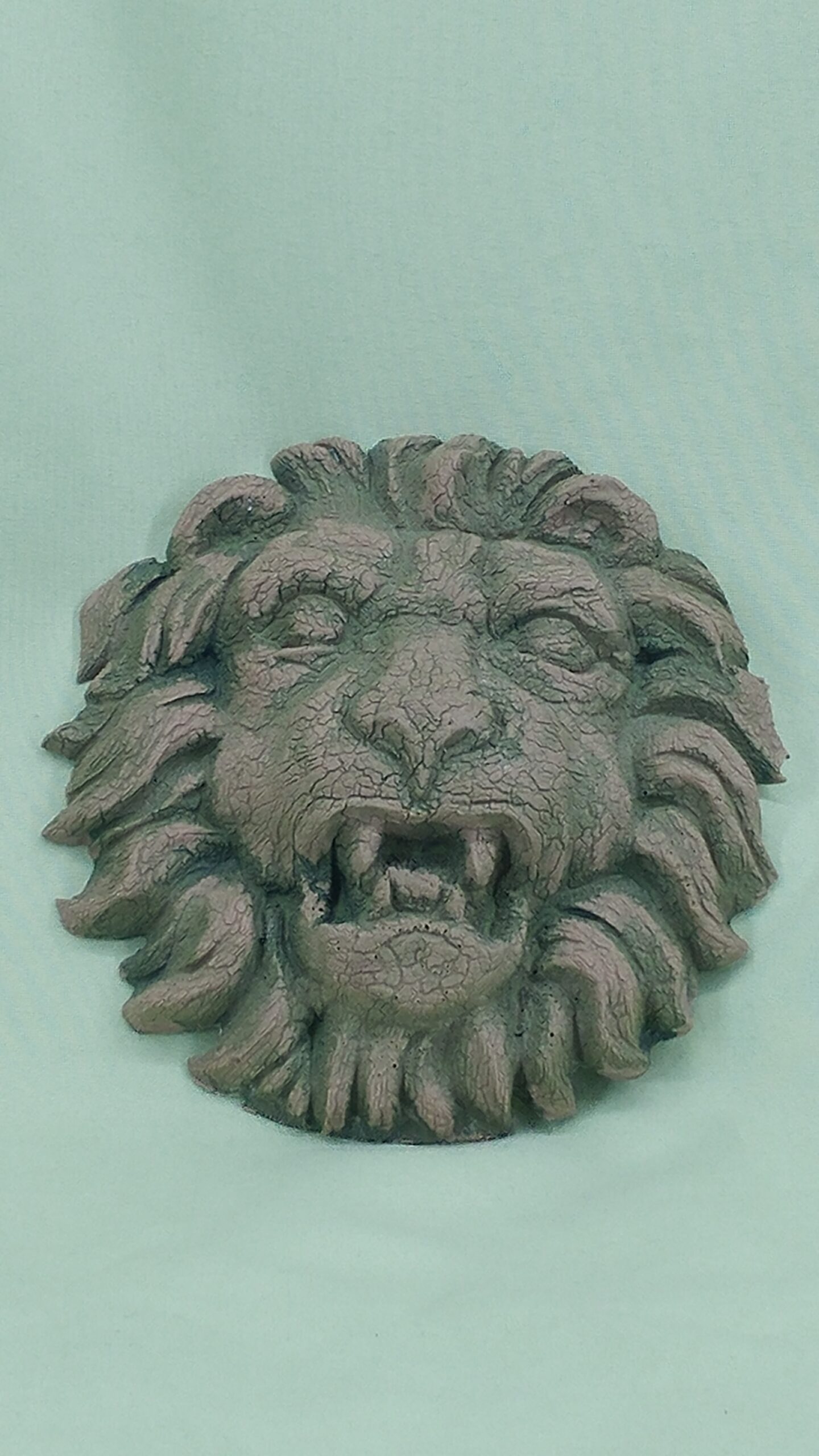 Crackle Lion - Image 13