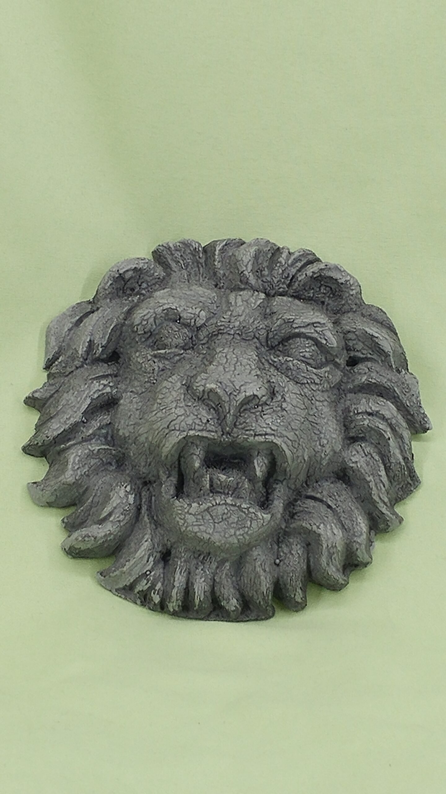Crackle Lion - Image 14