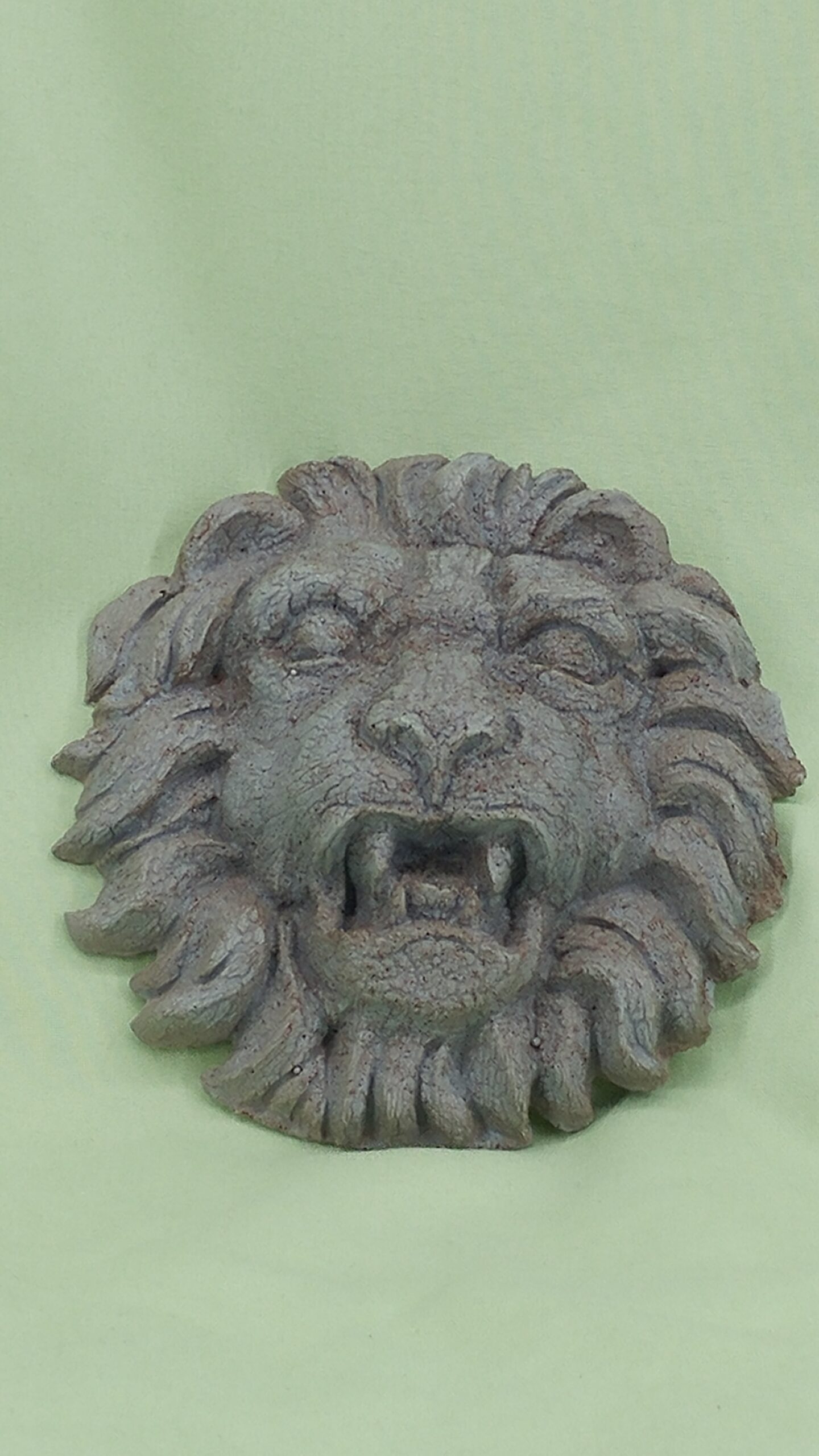 Crackle Lion - Image 15